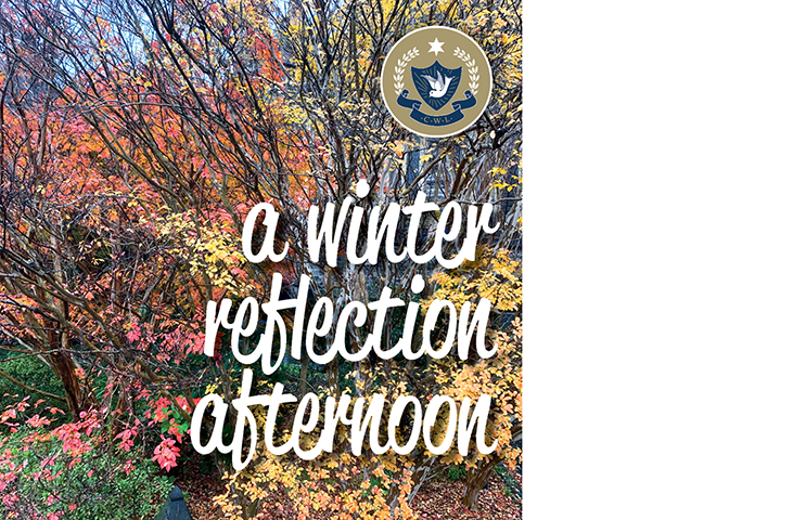 Winter Reflection Afternoon Saturday 29 July 2023